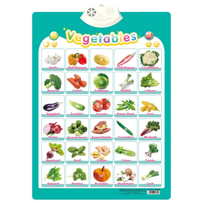 Electronic English Alphabet Wall Chart – Talking ABC & 123s Music Poster for Toddlers