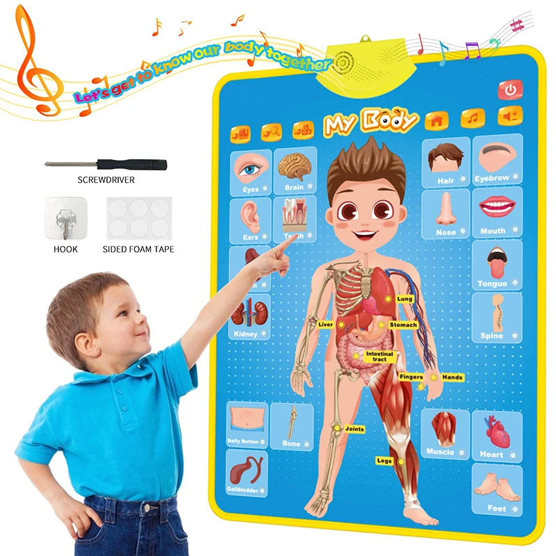 Electronic English Alphabet Wall Chart – Talking ABC & 123s Music Poster for Toddlers